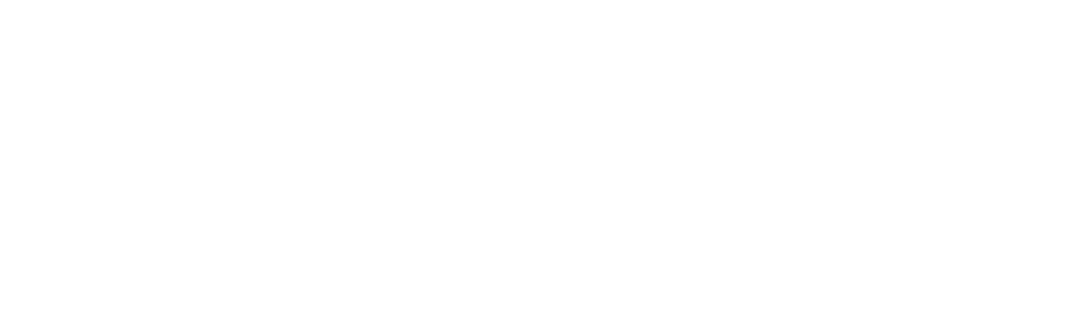 MERITUM Logo